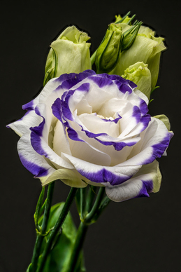 婚礼主持人怎么接活 兼职婚礼司仪一般怎么找活啊？