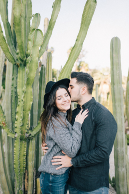 酒祖杜康六窖区怎么样