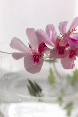 给女方父母的承诺 在女方父母面前承诺的话