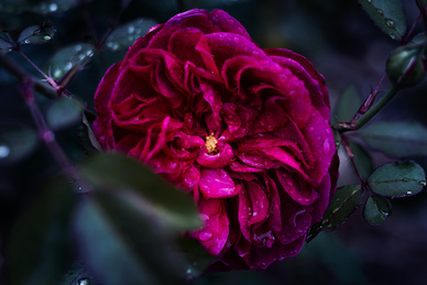 电影场景布置叫什么 电视剧电影拍摄关于场景布置叫什么专业