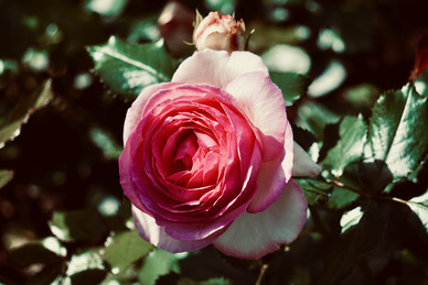 结婚照挂哪里合适卧室 结婚照挂在卧室什么位置好