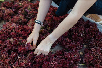 婚检需要户口本户主吗 婚前检查一定要带户口本吗