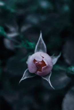 秀和什么时候穿 结婚当天秀禾服和婚纱分别什么时候穿？