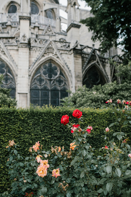 固底慕斯蛋糕脱模方法 请问固底模具做慕斯蛋糕怎么脱模啊?