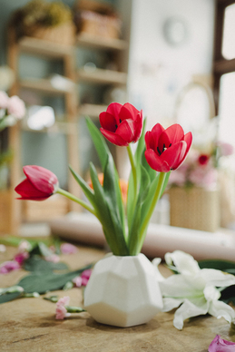 婚礼纪礼物是谁送的