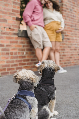 趣味游戏开场白 游戏开场白台词
