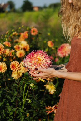 人品干净三观正的女人 人品好三观正的女生