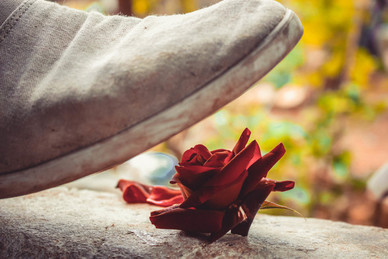 结婚当天拿的苹果能吃吗 婚礼上带回来的苹果能吃吗？