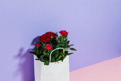 吃了吗您内老北京话