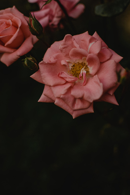 一克拉钻戒越看越小 钻戒1克拉有多大