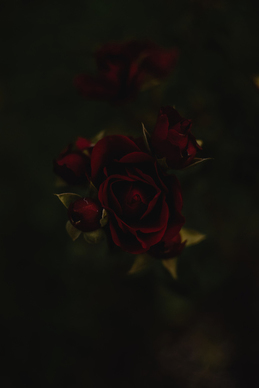 结婚敬酒服穿吊带好吗 参加婚礼不应该穿什么?