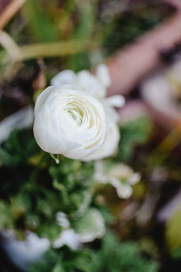 女西装搭配什么裤子好看 西服配什么裤子好看女