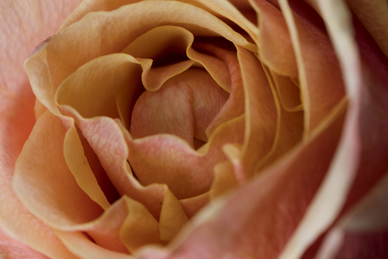 女方出嫁的衣服谁买 结婚时新娘的衣服谁买呀？