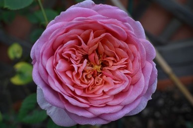 邀请出席礼貌用语 请人赴约的礼貌用语