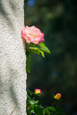 喜帖夫妻俩怎么写 结婚喜帖要怎么写