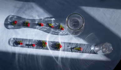 结婚男方的妹妹能干啥 结婚男方的妹妹是个什么角色