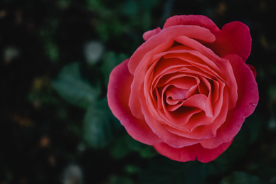 结婚十六年精辟感言 结婚十六年发朋友圈感言