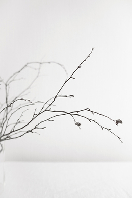 男朋友没见过父母 男朋友还没见过我爸妈,我该怎么办?