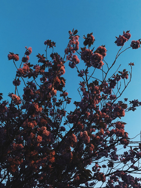 当一名记者需要什么条件 当一名记者应具有的最基本条件有哪些?