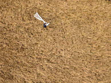 彩礼在婚礼当天什么时候给 结婚给女方父母彩礼一般在什么时候