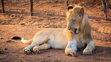 贴对联吉日吉时 对联什么时候贴最好