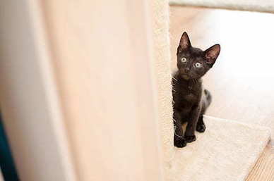 表兄妹算三代还是四代 什么叫四代表兄妹?