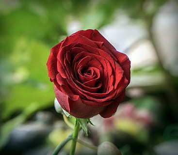 婚礼请柬给领导的怎么写 结婚请领导请帖怎么写