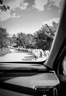 最新版一元人民币图片 一张一元人民纸币的长度是多少？