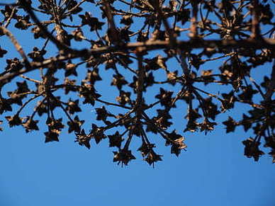 侄儿结婚包多少红包 侄子结婚姑姑随礼多少钱合适