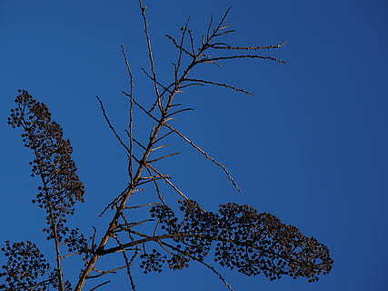 好唱又能带动气氛的大合唱 励志大合唱又能带动气氛的歌