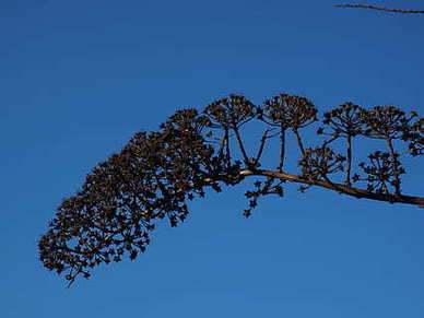 东城区社保中心电话 北京市的社保咨询电话是多少？