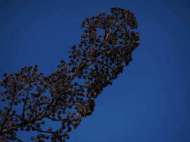 杭州租婚车去哪家好