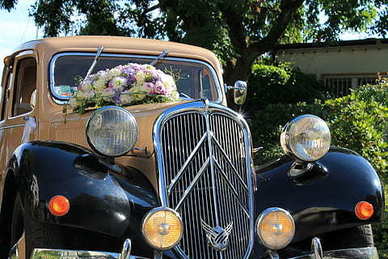 不同爪镶钻戒的寓意