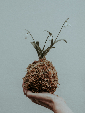 教堂里举办婚礼的要求 教堂婚礼有什么举办条件 进场顺序是怎样的