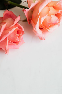 朋友结婚去不了怎么说给她发红包 朋友结婚不能到场怎么给红包