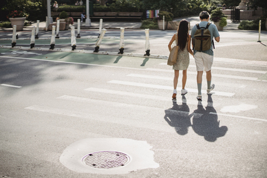 送闺蜜百合多少朵合适 送闺蜜花应该送多少朵