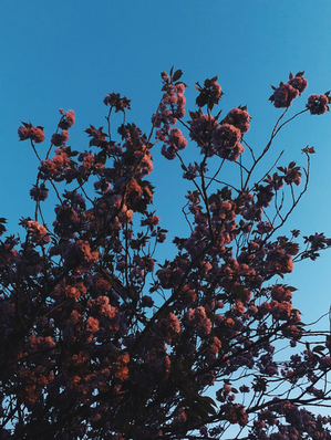 送礼送4个还是5个好 过节送礼。送三样还是四样?