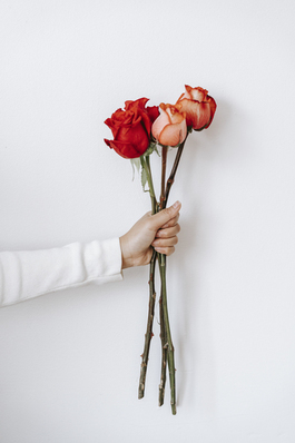 三朝回门什么意思 古时候流传下来的礼俗三朝回门是什么意思