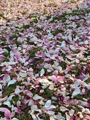 婚庆公司为什么没人干