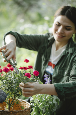 12315投诉婚纱照有用吗 12315投诉婚纱照属于哪类服务