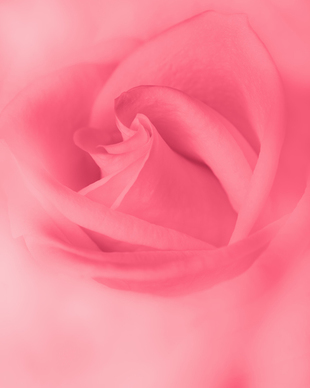 简单容易唱的流行歌曲 有哪些粤语歌适合唱歌初学者唱