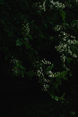 婚礼策划师适合男的做吗 18岁男孩,学习婚礼策划这行,可以吗?