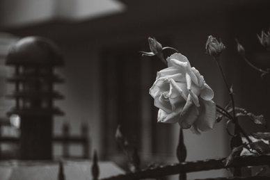 好友婚礼祝福20秒短视频 拍视频送给朋友结婚祝福语大全简短