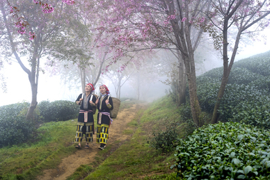 妹妹嫁女儿红包怎样落款 我妹妹的女儿出嫁,红包怎么写?