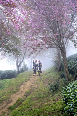 妙笔生花的意思 妙笔生花是什么意思
