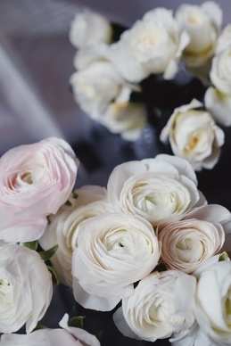 包装盒上的纸花 礼物花的折法：礼物包装花怎么折