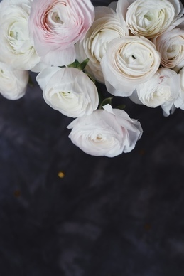 简单邀请函制作 邀请函制作 电子版（简单5篇）