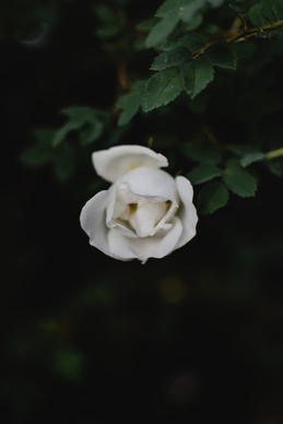 婚纱照片相框选择