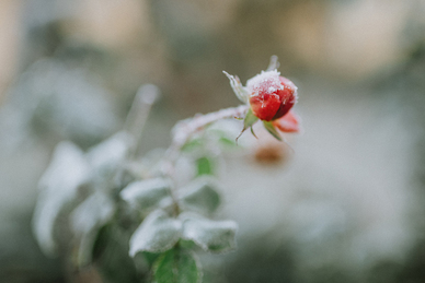从定亲到结婚花销明细 订婚和结婚分别要拿多少钱 结婚必看攻略