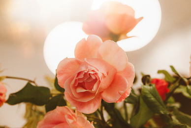 婚庆公司订单礼如何入账